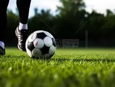 欧豪正面回,资源咖,指责,一号娱乐链接,一号娱乐地址,一号娱乐官方平台,一号娱乐入口站点